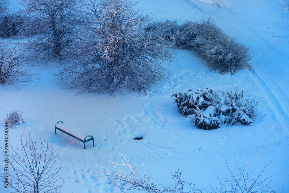 Fototapeta premium Winter landscape. Trees and plants covered with snow. The beauty of snow covered paths. Snowfall and cooling in tourist areas.