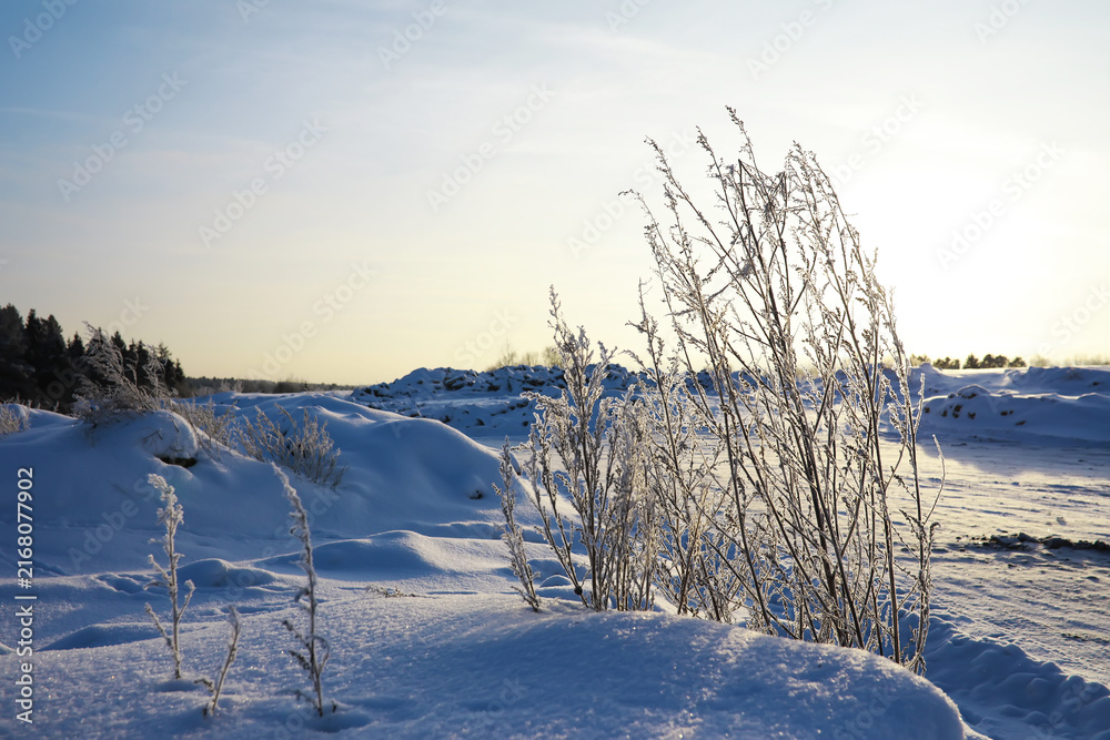 Fototapeta premium Winter snowy frosty landscape. The forest is covered with snow. Frost and fog in the park.