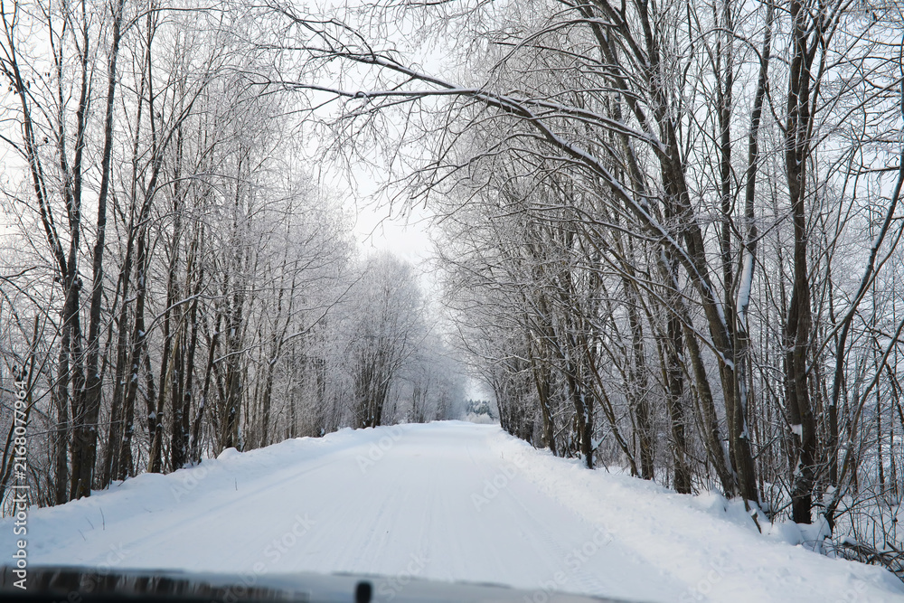 Fototapeta premium Winter snowy frosty landscape. The forest is covered with snow. Frost and fog in the park.