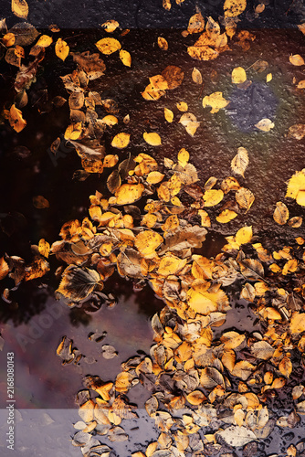 фотографія Beautiful Nature Autumn landscape