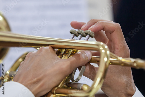 Canvas Print Close-up of a musician's hands playing the trumpet