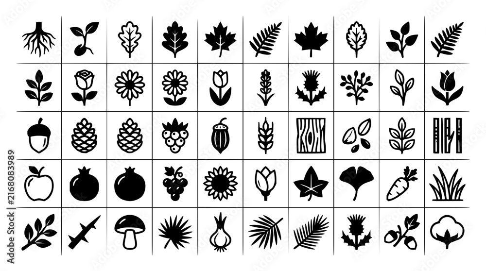 Fototapeta premium Botanical icons set with monochrome illustrations featuring leaves, flowers, fruits with roots and seeds