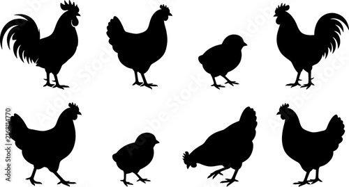 Chicken, rooster and chick silhouettes vector set, farm animal icons collection