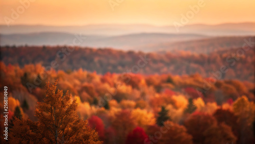 Vibrant autumn forest landscape with colorful foliage and soft morning sunlight at sunrise