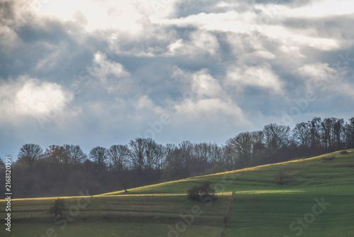 hill and trees with an overcast sky