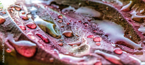 Rain and water droplets on a red leaf