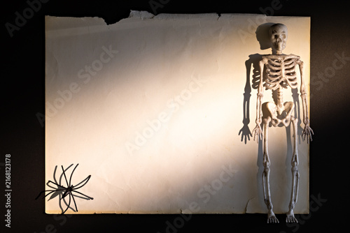 Skeleton at right edge of vintage torn paper with wide copy space for Halloween banner or mockup