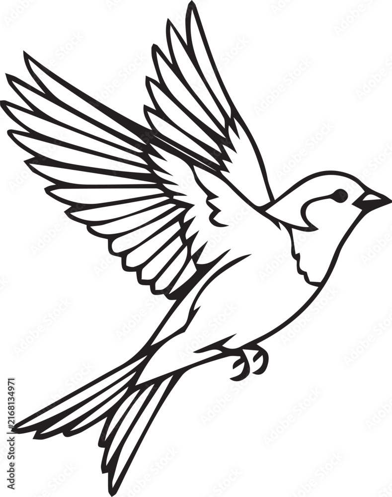 Fototapeta premium Flying Bird Wings Spread Line Art Vector Outline