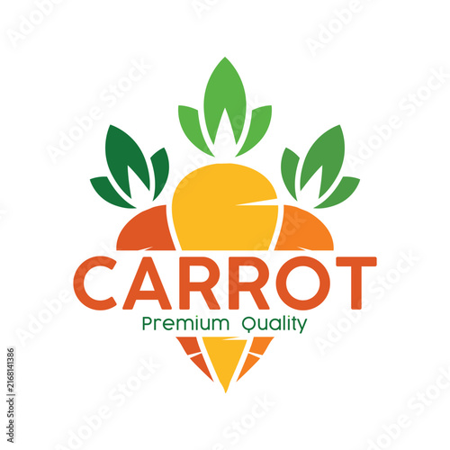 Carrot Logo vector icon design