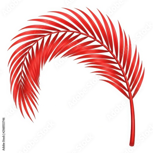 Red palm frond with golden stripes isolated on white background