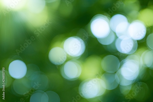 Soft green foliage bokeh with dappled sunlight