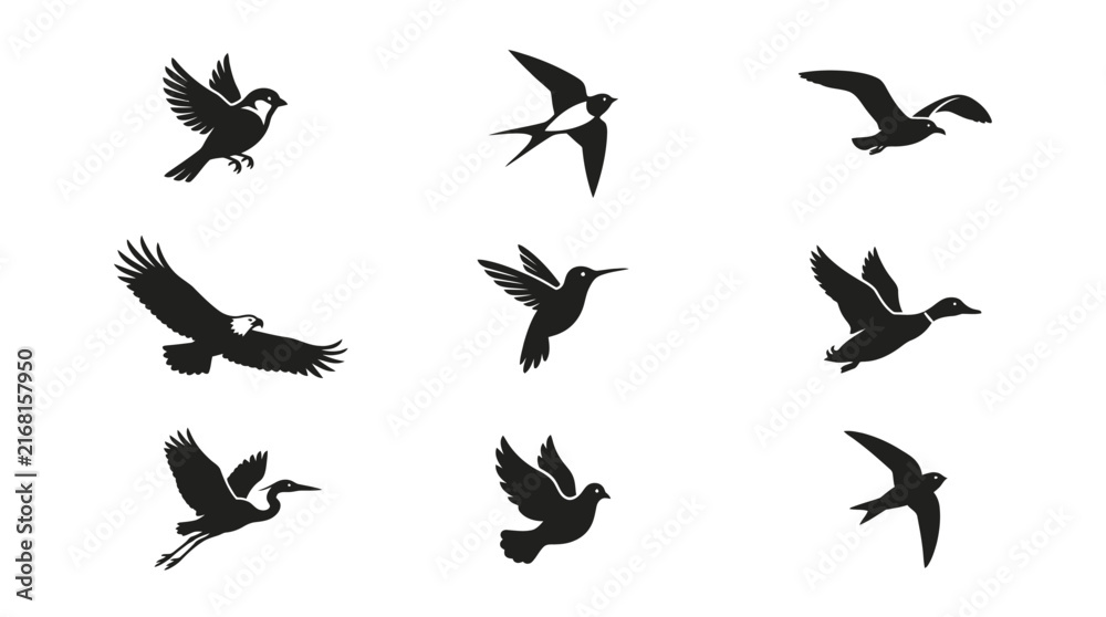 Fototapeta premium Black songbird silhouettes in flight