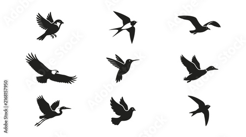 Black songbird silhouettes in flight