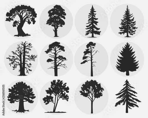 Collection of 15 Unique Tree Silhouettes for Design and Illustration