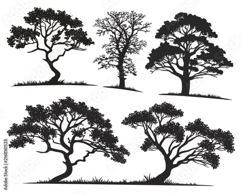 Set of 15 Unique Tree Silhouettes for Nature and Landscape Designs