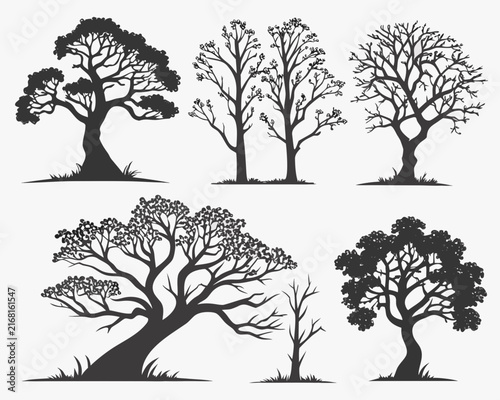 Collection of Unique Dramatic Tree Silhouettes for Design and Illustration