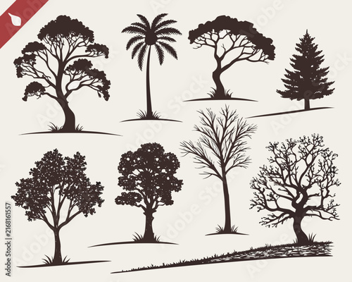 Collection of Diverse Tree Silhouettes for Design and Illustration