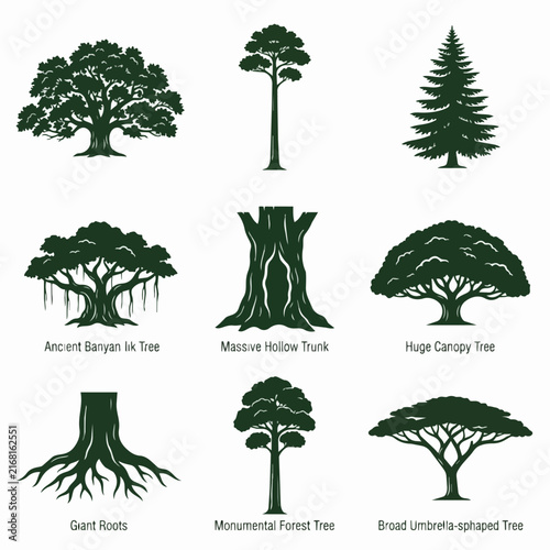 Bild auf Leinwand Diverse Ancient and Monumental Tree Silhouettes Collection