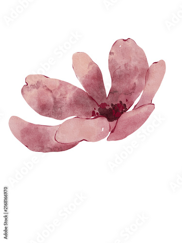 Watercolor burgundy fall meadow flower, autumn wildflower