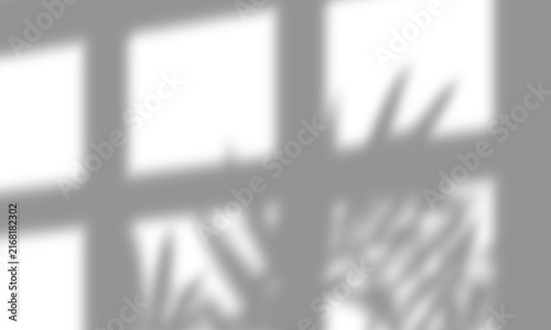 Realistic Tree Leaves with Window Shadow Overlay Isolated on Transparent Background