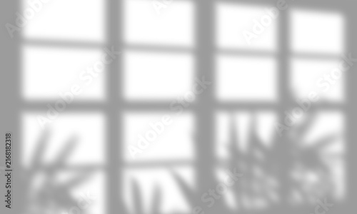 Natural Window Light and Tree Leaf Shadow Overlay PNG Isolated on Transparent Background