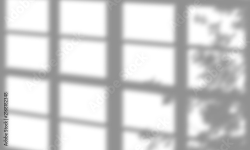 Realistic Tree Leaves with Window Shadow Overlay Isolated on Transparent Background