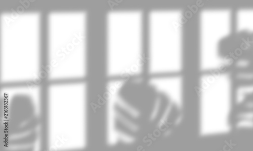 Natural Window Light and Tree Leaf Shadow Overlay PNG Isolated on Transparent Background