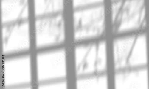 Realistic Tree Leaves with Window Shadow Overlay Isolated on Transparent Background