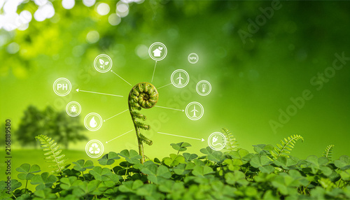 Obraz na plátně Digital radial diagram with agriculture and sustainability icons around a fern plant, representing ecological farming