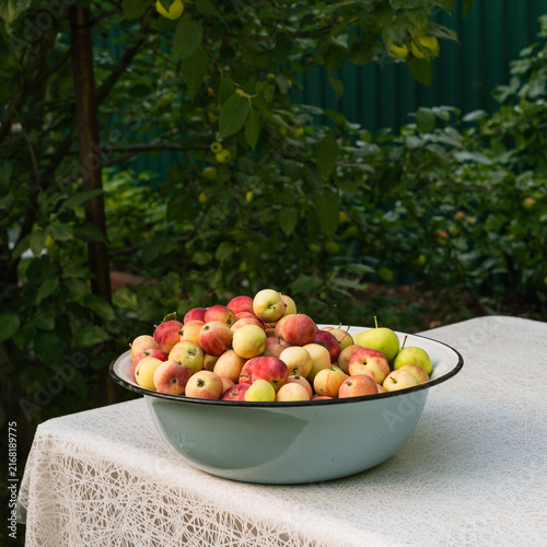 Bowl of freshly harvested apples in a garden setting  