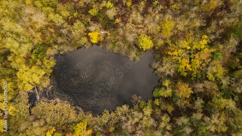 A small lake in the autumn forest.