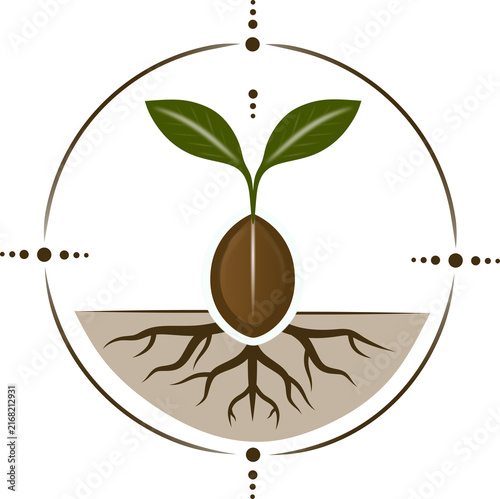Foto Color variation of a minimalist botanical vector logo inspired by a seed symbolizing potential, new beginnings, and new beginnings