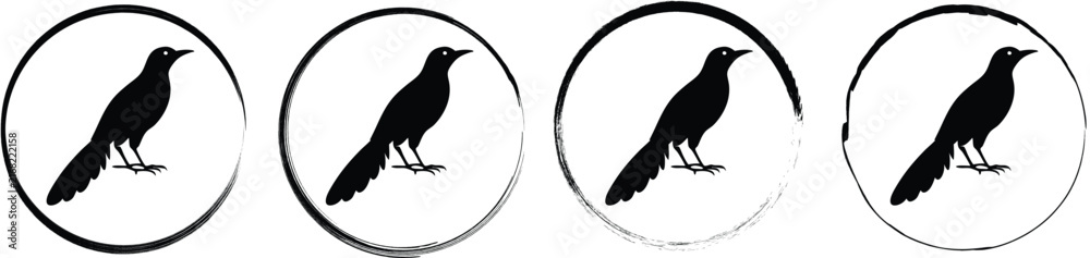 Fototapeta premium Set of four round depicting a black silhouette of a small bird with a long tail standing in profile on a branch
