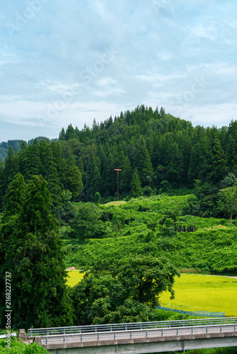 新潟の風景