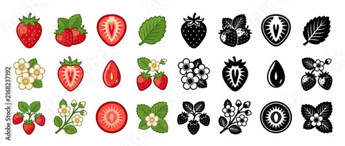 Strawberry Collection: Fruits, Flowers, Leaves, and Seeds