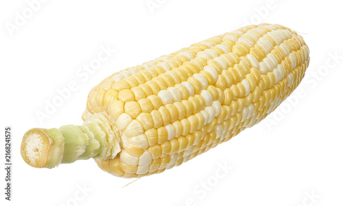 фотографія Fresh bicolor sweet corn cob (Zea mays) featuring yellow and white kernels isolated on transparent background