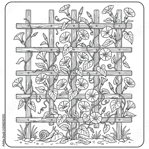 Beautiful Morning Glory Flowers Climbing on a Wooden Trellis Coloring Page
