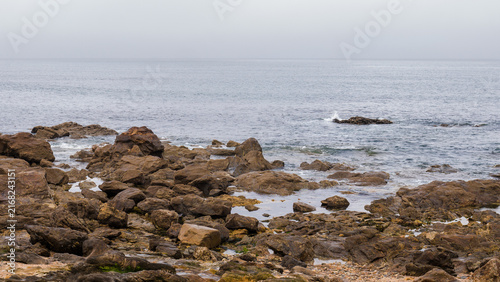 Fotografie Rocky Intertidal Shoreline with Tide Pools and Calm Grey Sea Fading into Haze, A