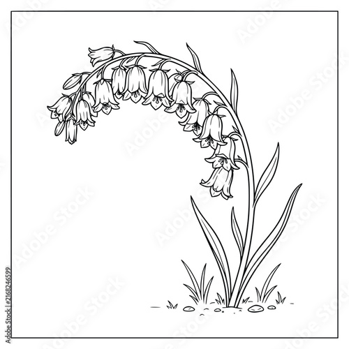 Beautiful Blooming Bellflower Plant with Hanging Blossoms Coloring Page for Adults and Kids