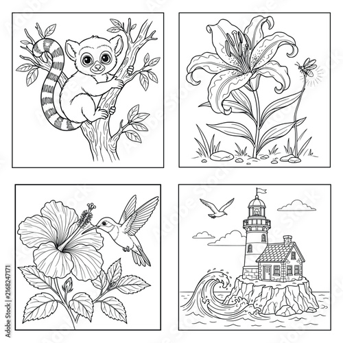 Four Panel Nature and Animals Coloring Page Set with Lemur Flower Hummingbird and Lighthouse