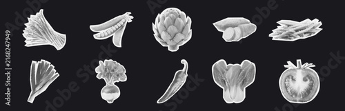 Halftone Cutout Vegetables Set, leek, shallot, artichoke, zucchini, beans, celery, turnip, chili, broccoli, tomato, onion, cabbage, radish, plant, garden, cuisine, dietary, textured, vin