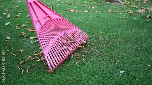 A man in summer clothing rakes fallen leaves in a garden using a leaf rake. Highlighting the concept of garden maintenance during autumn, spring, or year-round in warm climates like Cyprus