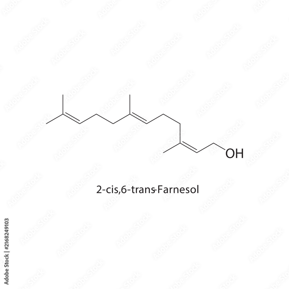 Obraz premium 2-cis,6-trans-Farnesol skeletal structure. sesquiterpene alcohol compound schematic illustration. Simple diagram, chemical formula.