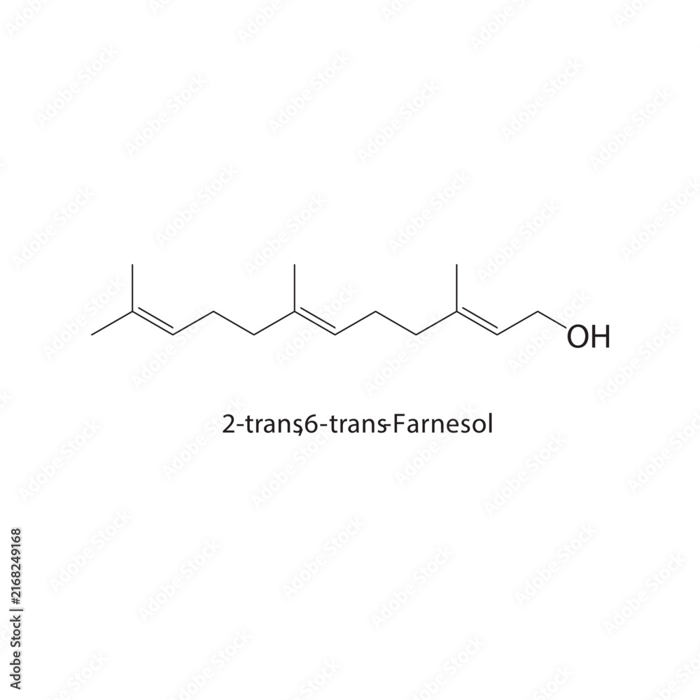 Obraz premium 2-trans,6-trans-Farnesol skeletal structure. sesquiterpene alcohol compound schematic illustration. Simple diagram, chemical formula.