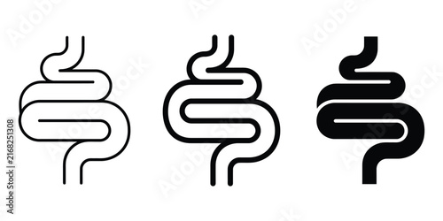 Quadro su tela Intestine icon line art vector, bold outline and silhouette design