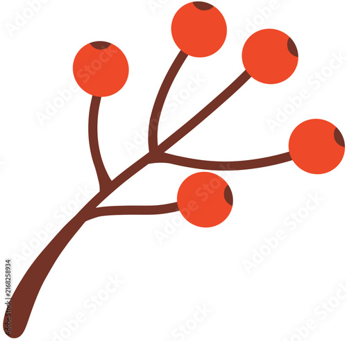 Red Berry Illustration
