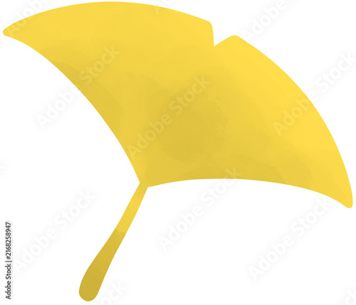 Ginkgo Leaf Illustration