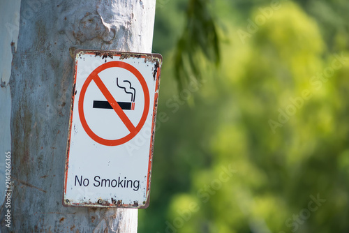 No Smoking Sign in Nature: A weathered No Smoking sign attached to a tree trunk stands as a stark reminder against the backdrop of lush greenery.