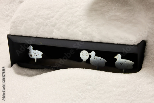Принти на полотні Shooting range in the snowy winter season with three little ducks target practic