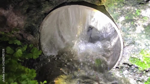 Water flowing from garden hose nozzle with small green plants growing beside it